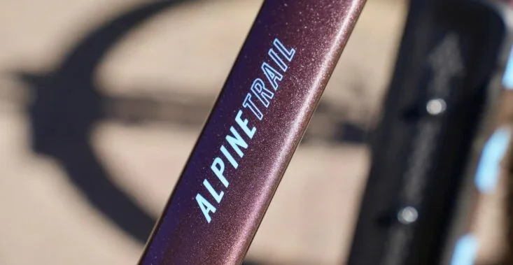 Marin Alpine Trail 1 - 2025 - Image 9