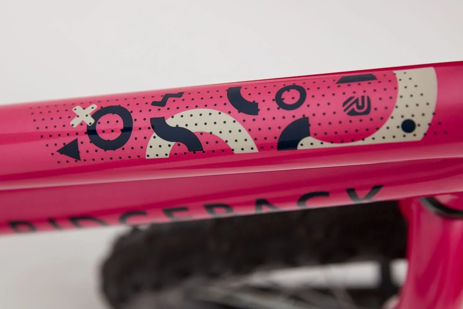 Ridgeback Melody - Image 11