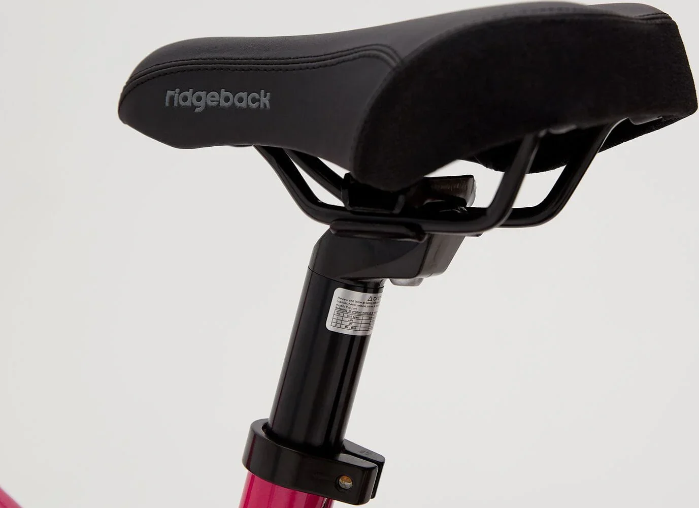 Ridgeback Melody - Image 12