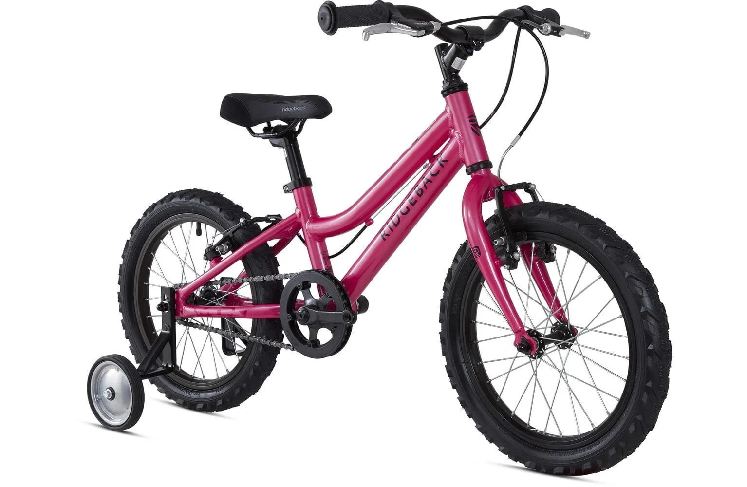 Ridgeback Melody - Image 5