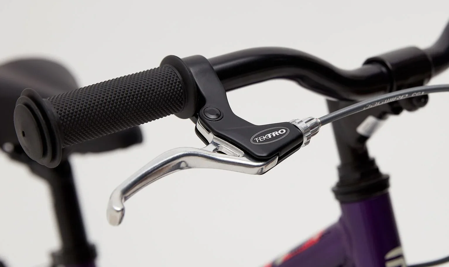 Ridgeback Melody - Image 6